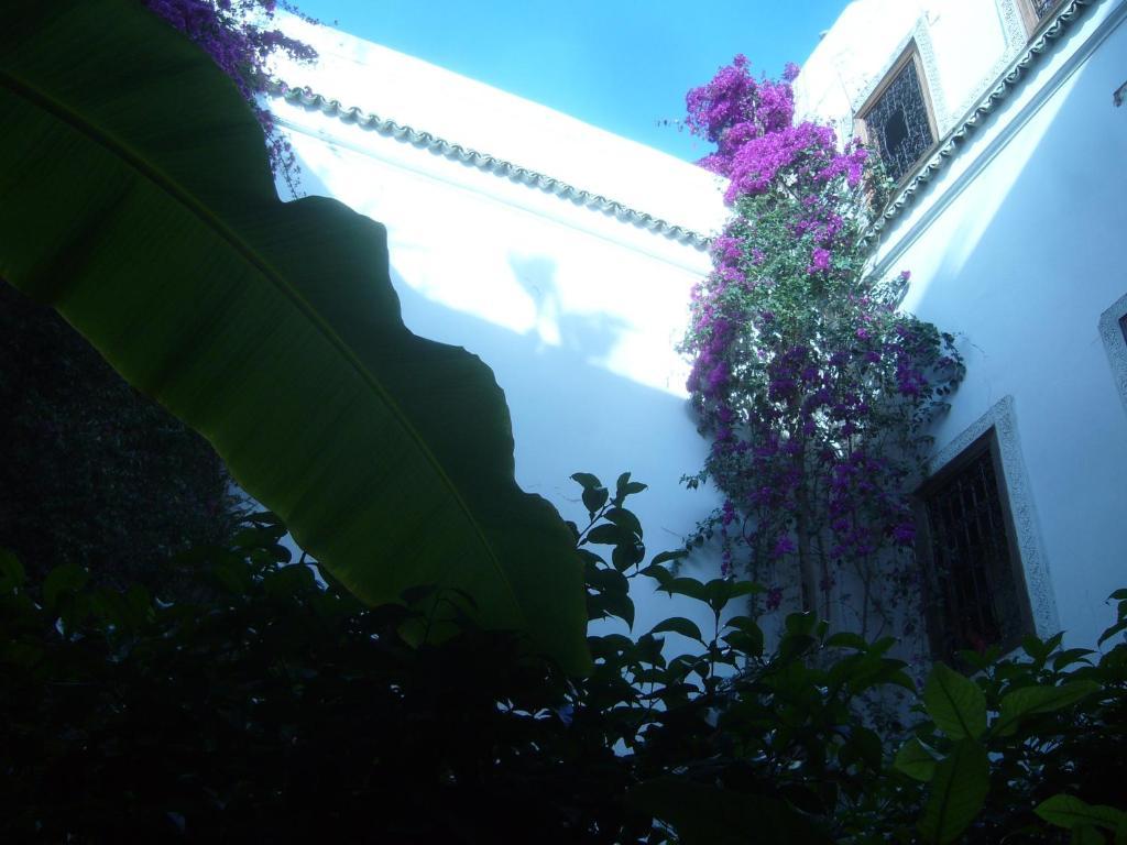 Riad Jenaï L'Authentique Marrakesh Extérieur photo